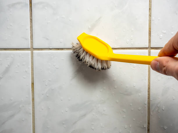 Professional Mold Remediation in Humble, TX