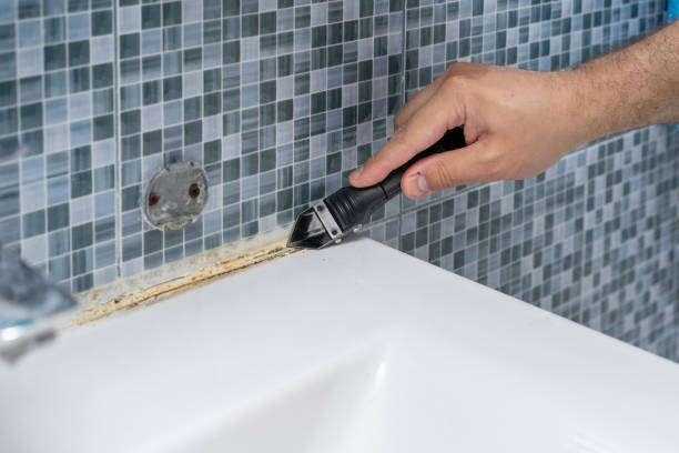 Best Commercial Mold Remediation in Humble, TX