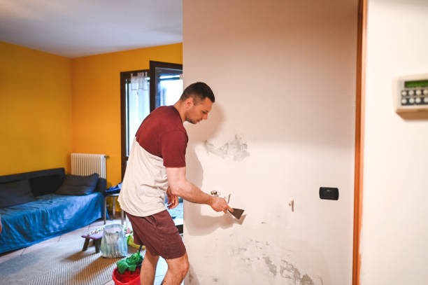 Best Commercial Mold Remediation in Humble, TX